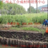 护坡/边坡/市政工程专用广州仪征绿化生态袋图2