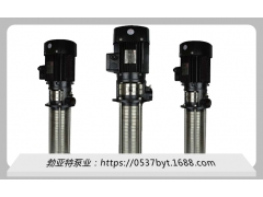 直销QDLY机床专用液下泵不锈钢耐腐蚀无泄漏循环液下泵图3