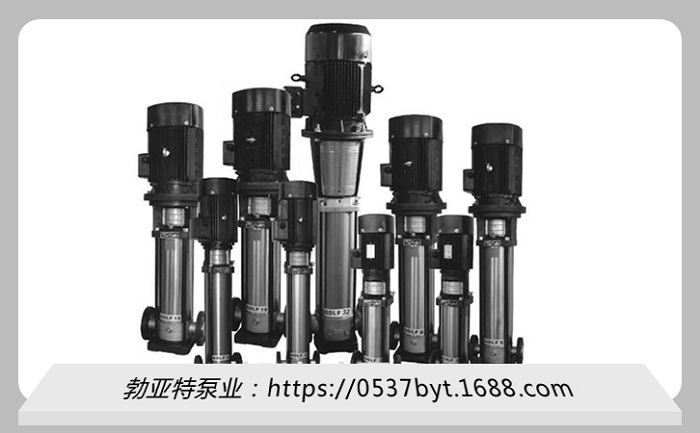 冷却塔专用泵济宁勃亚特现货 QDL立式多级离心式图1