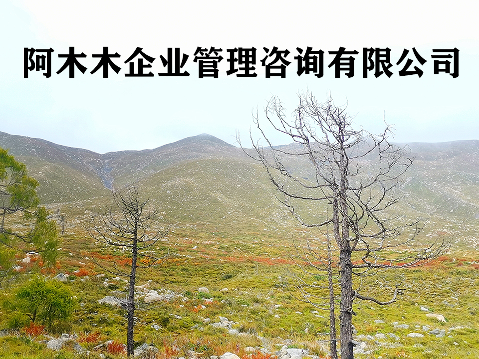 青岛建筑资质办理，市政总包资质代办，推荐阿木木！图3