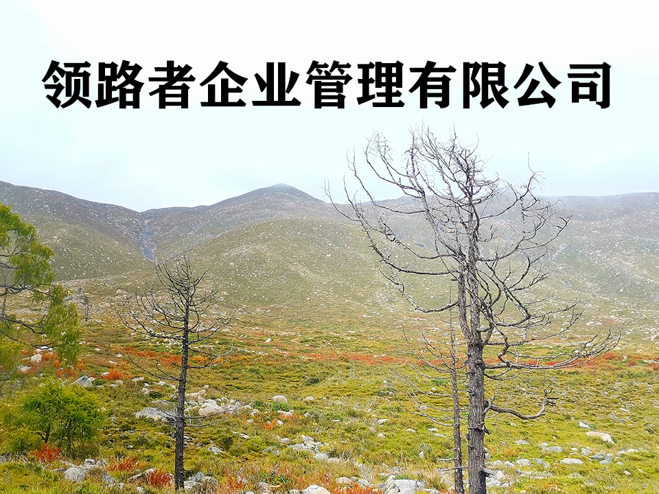 沧州公路施工资质办理，水利资质转让，真实可靠！！图2