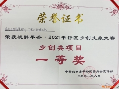 “新农人”主理新宿集毛大庆团队凭“丫吉宿集”方案设计问鼎平谷乡创文旅大赛