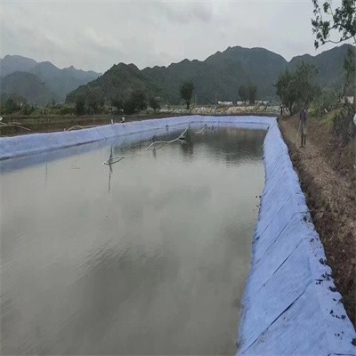 青岛藕池养殖防渗膜500g两布一膜基本指标图4