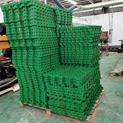 长春PE块状高抗压植草格50高植草砖图3