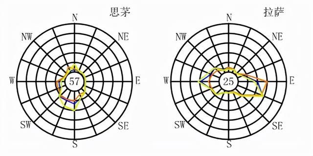 全国各大城市风玫瑰图