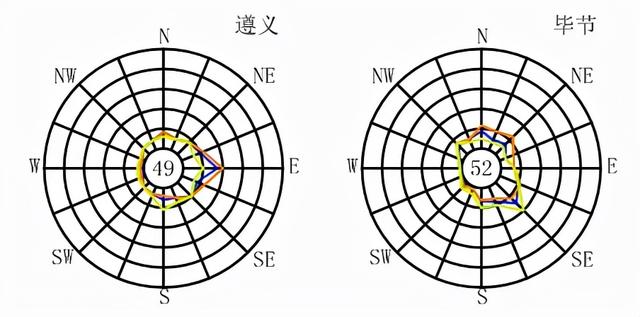 全国各大城市风玫瑰图