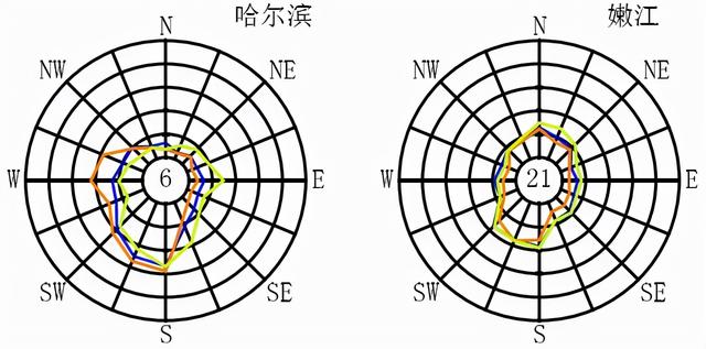 全国各大城市风玫瑰图