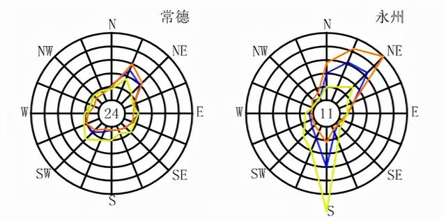 全国各大城市风玫瑰图