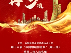 浙江中南建设再添三项“中国钢结构金奖”